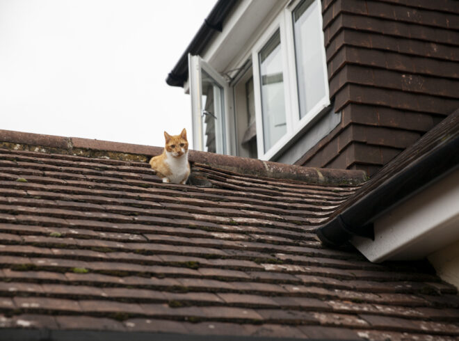 Storm Damage Roof Repair